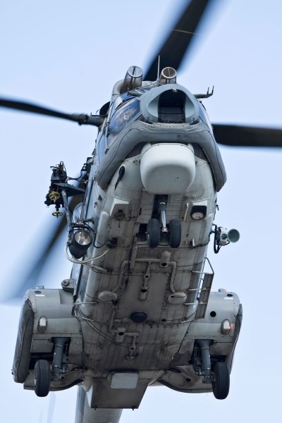 super_puma_GR (1)